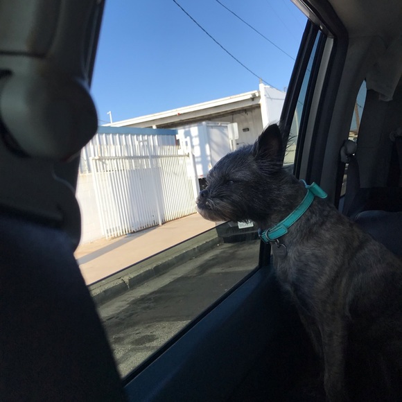 Your Fabulous Posher, Naye - Picture 4 of 6